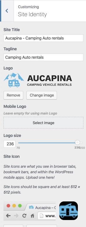Customizing - Site Identity